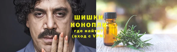 сатива Армянск