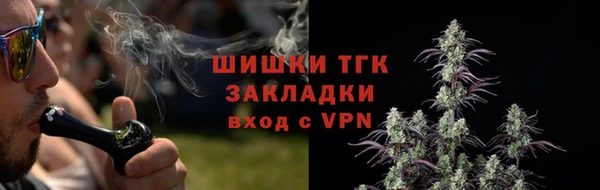 прущий лед Арсеньев