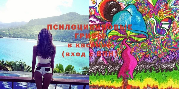 прущий лед Арсеньев