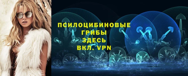 сатива Армянск