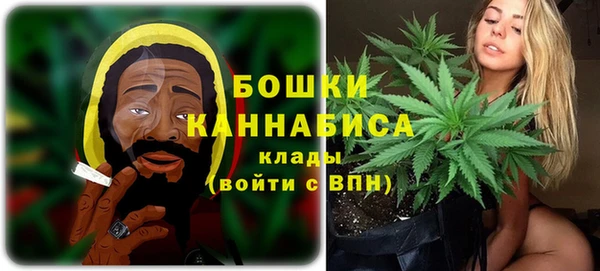 прущий лед Арсеньев