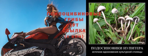 прущий лед Арсеньев