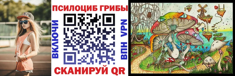 Псилоцибиновые грибы прущие грибы  MEGA   Магас  купить  цена 